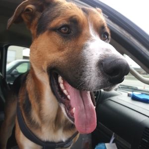 Meet your Posher, Corrina